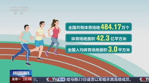 BB贝博艾弗森官网 乒乓球台家用小号